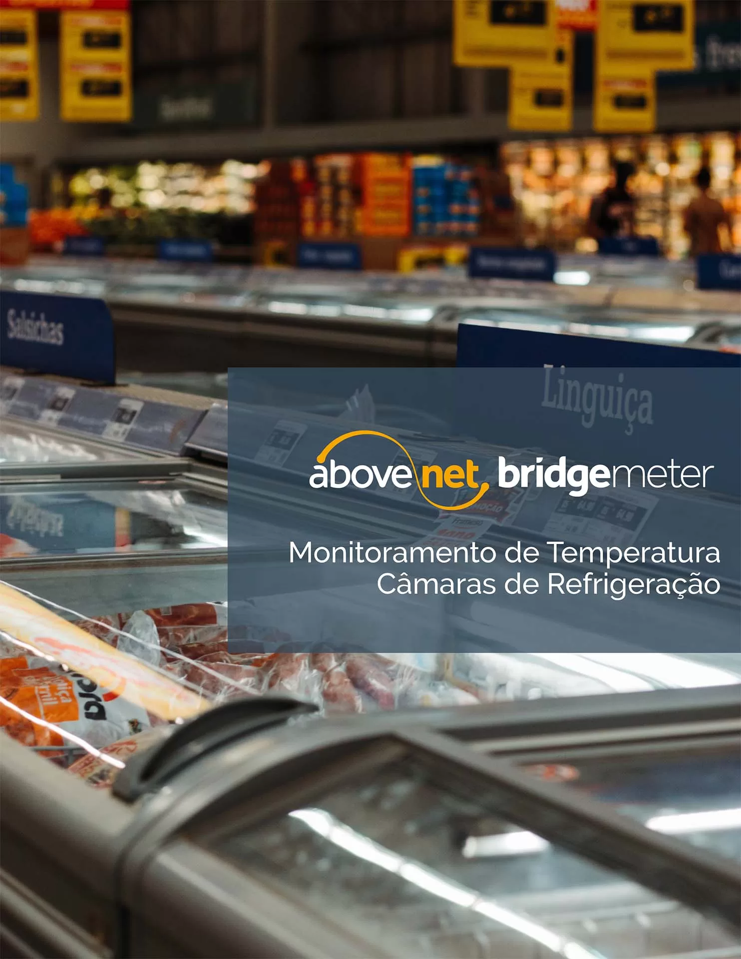 Monitoramento Camaras Frias