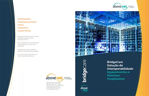 Bridgecare_V20