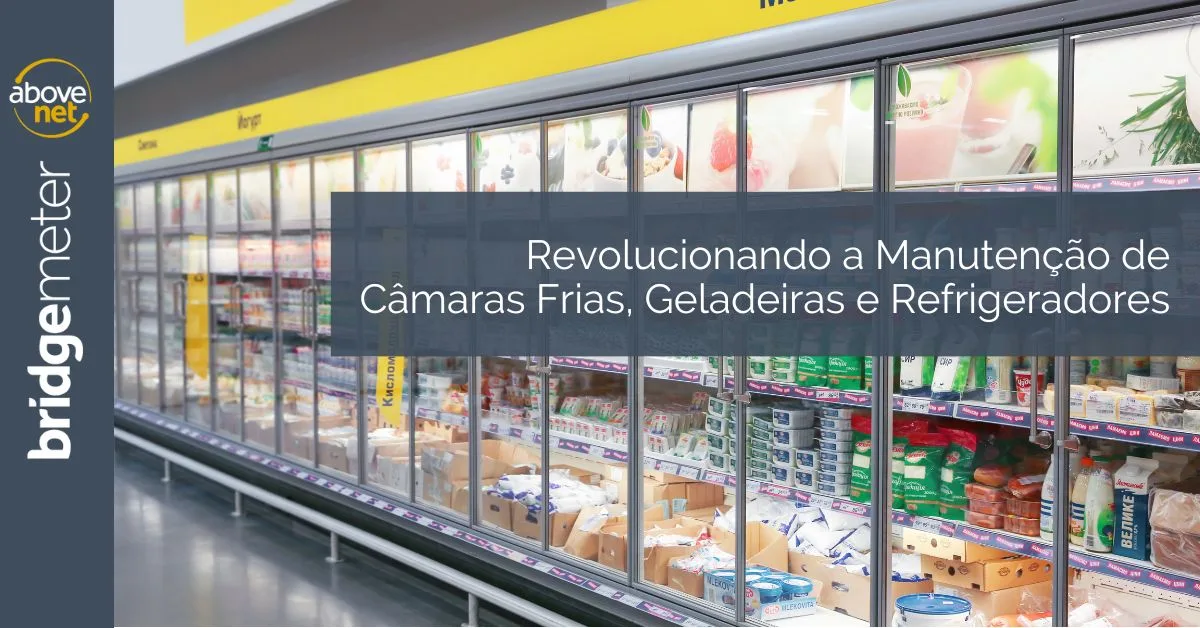 Revolucionando a Manutenção de Câmaras Frias, Geladeiras e Refrigeradores